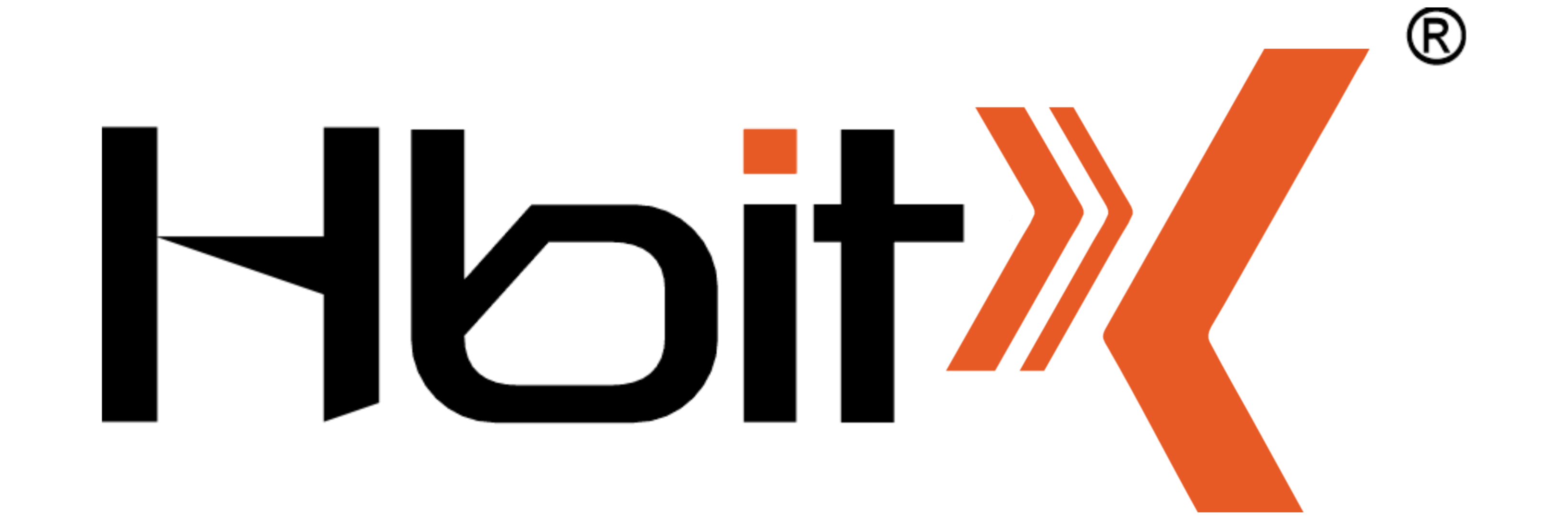 HbitX Logo