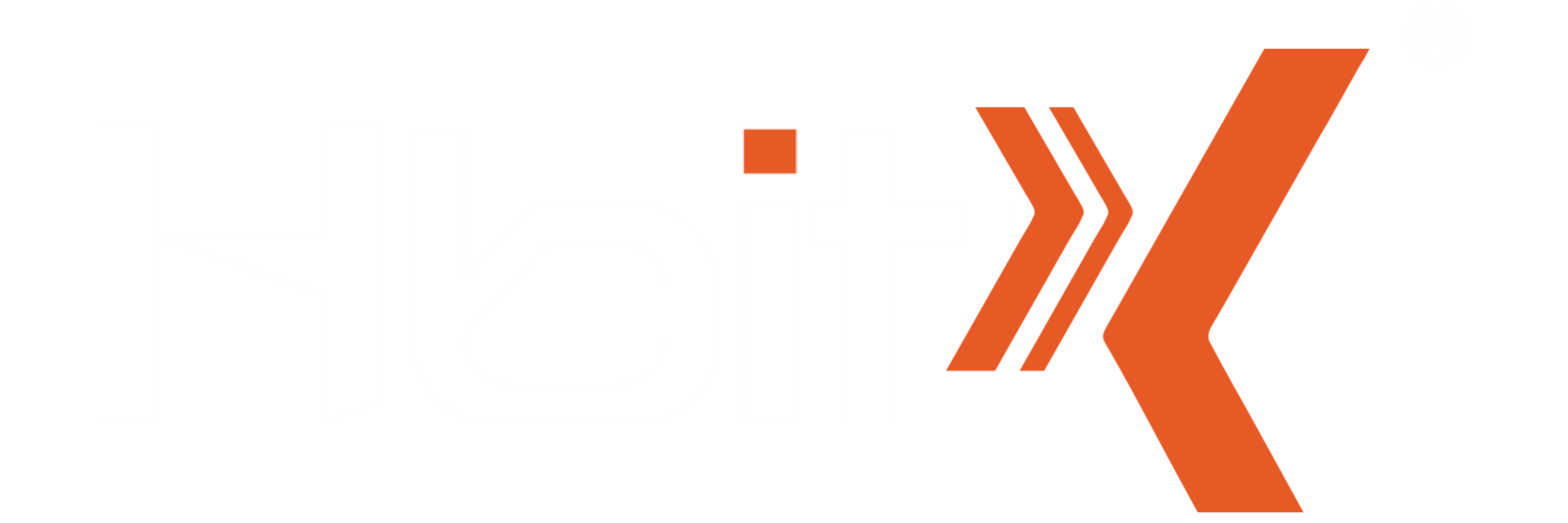 HbitX Logo